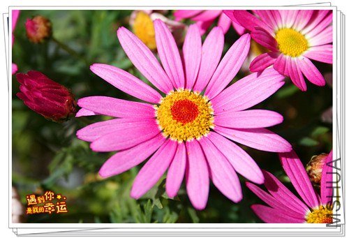 ��Ƭ 036_����.jpg