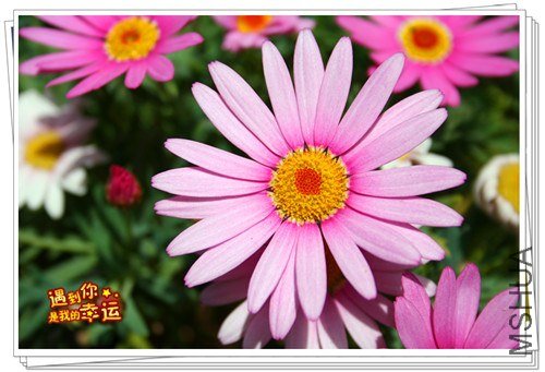 ��Ƭ 037_����.jpg