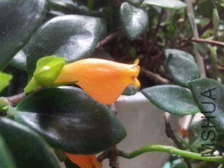 IMG20130403190431.jpg