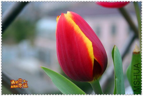 ��Ƭ 021_����.jpg