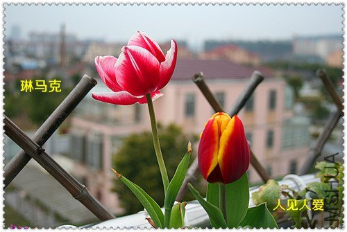 ��Ƭ 020_����.jpg