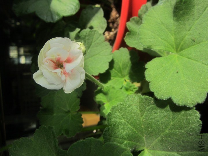 ���� ��Ƭ 058.jpg