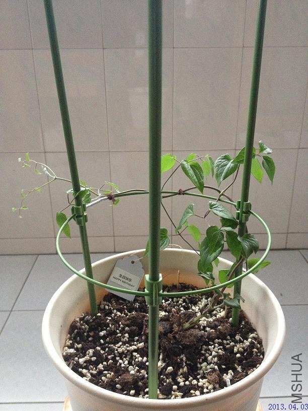 ���տ��� 2013.04.03.JPG