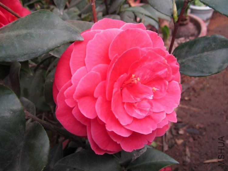 ��Ƭ 093.jpg