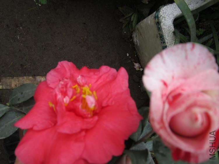 ��Ƭ 099.jpg