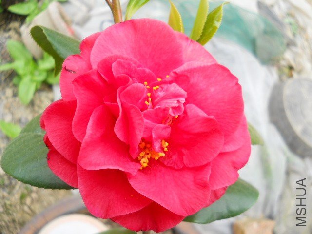 DSCN1055.JPG