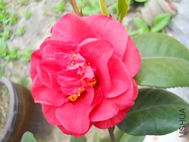 DSCN1056.JPG