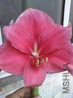 IMG0404101801.jpg