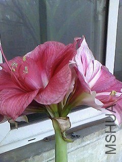 IMG0404101900.jpg