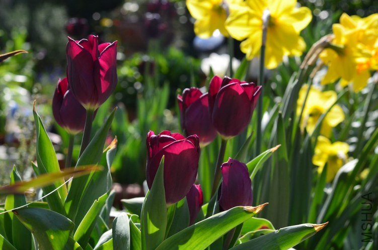 ����С ��20130403 002.JPG