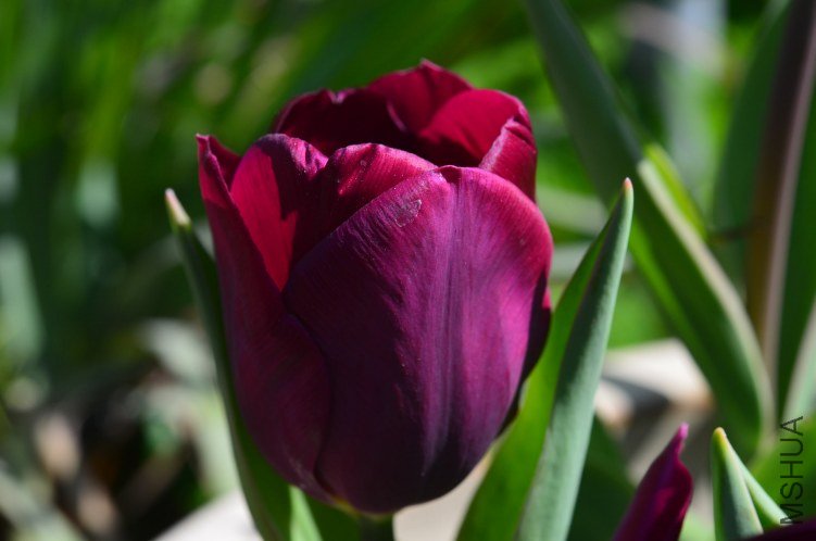 ����С ��20130403 001.JPG