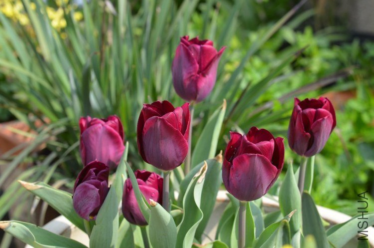 ����С ��20130404 002.JPG