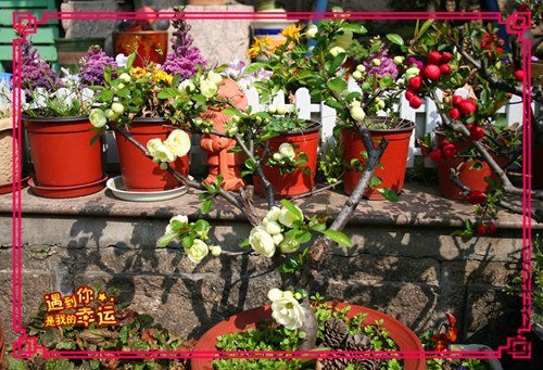 ��Ƭ 011_����.jpg