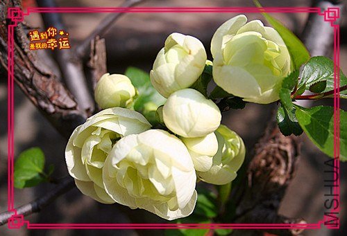 ��Ƭ 013_����.jpg