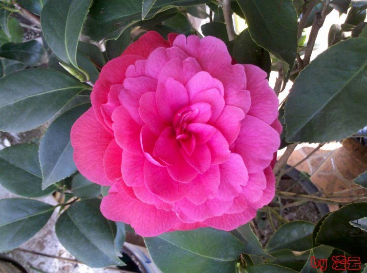 2013-04-02_10-40-27_877.jpg