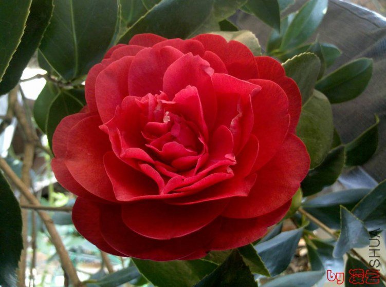 2013-04-02_10-40-37_346.jpg