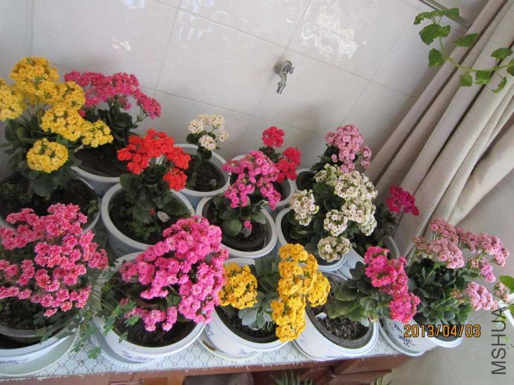 ���ٺ�Ӱ (1).jpg