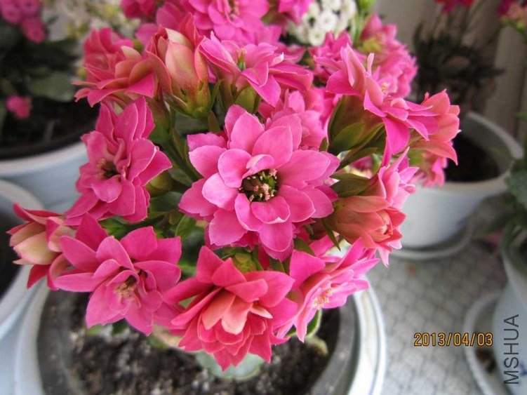 �۰��� (1).jpg