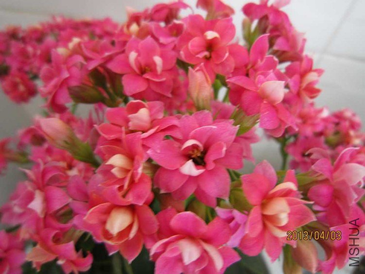 �۾��� (1).jpg