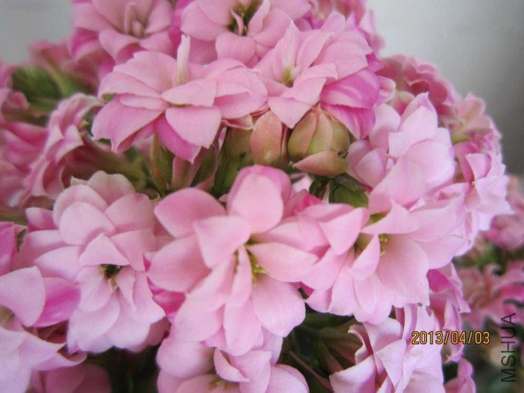 ������ (1).jpg