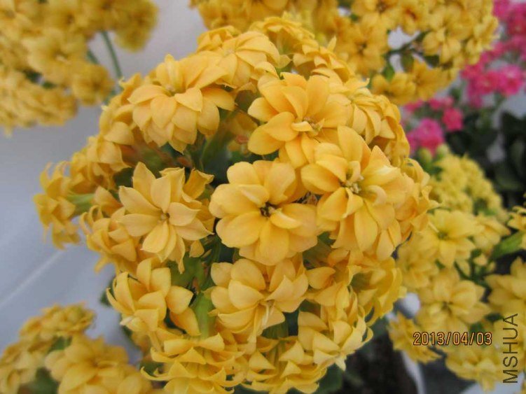 �ƾ��� (1).jpg