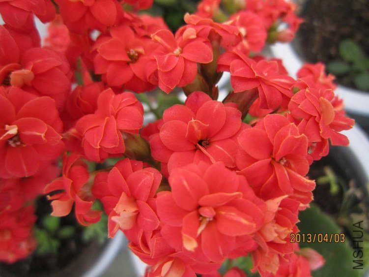 ���� (1).jpg