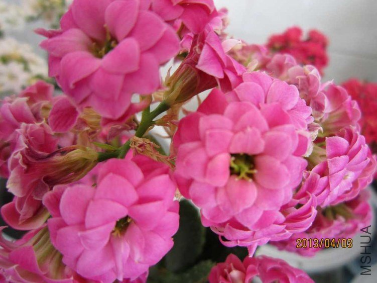 �ҷ���� (1).jpg