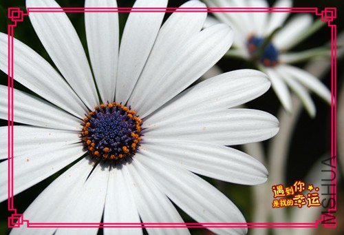 ��Ƭ 123_����.jpg