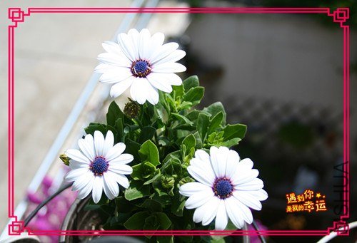 ��Ƭ 120_����.jpg