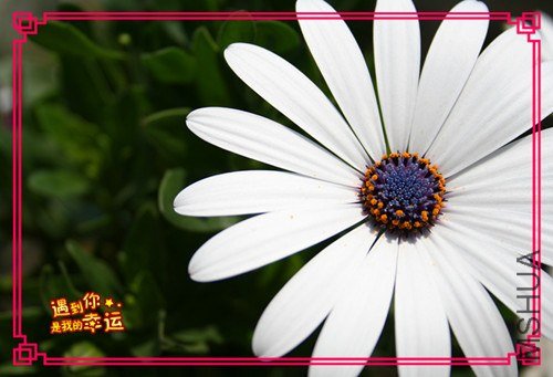 ��Ƭ 122_����.jpg