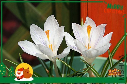 ��Ƭ 070_����.jpg