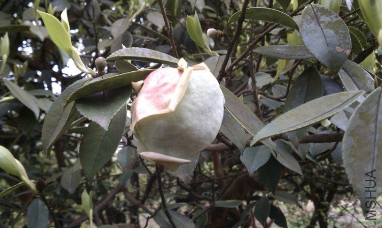 IMG_20130403_144145.jpg