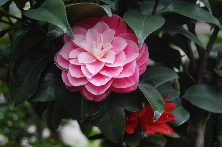 DSC_01490149.JPG
