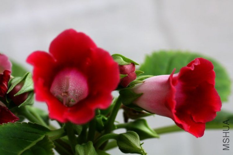 IMG_2810.2013.04.04.jpg