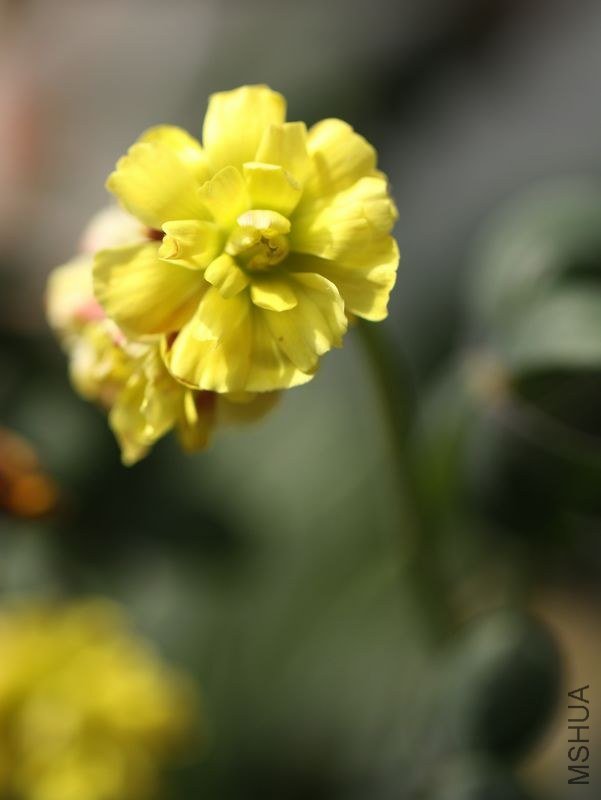 IMG_2613.2013.03.04.jpg