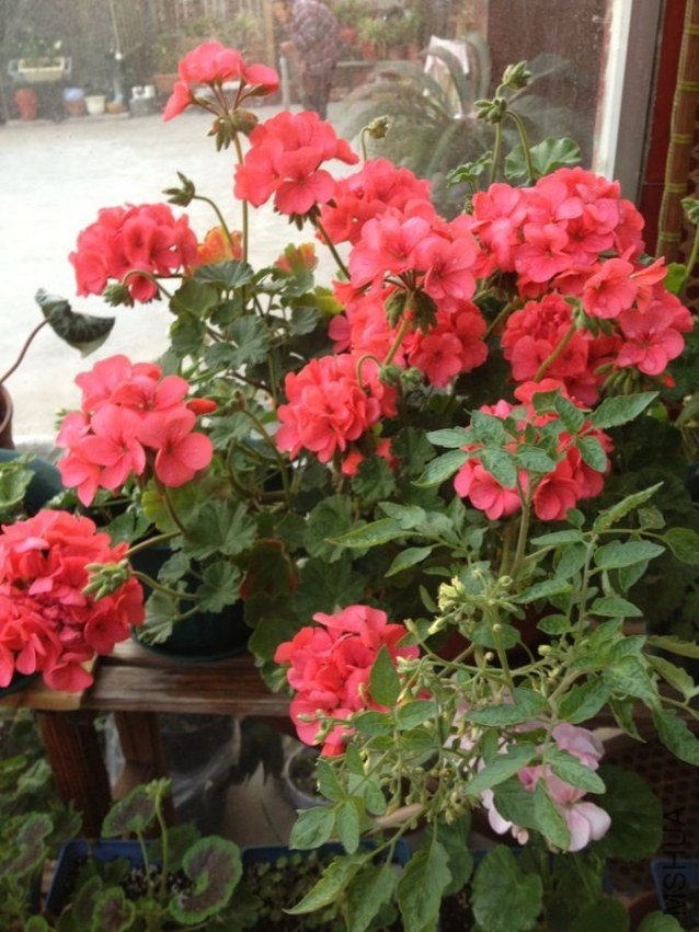 �ر��ܿ���������