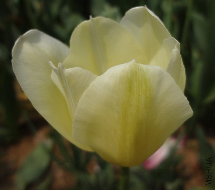 040501.jpg