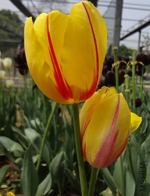 040503.jpg