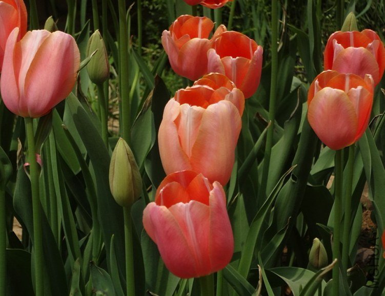 040505.jpg