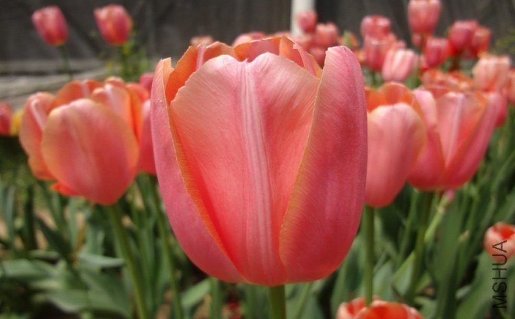 040506.jpg