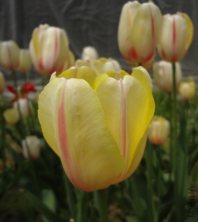 040508.jpg