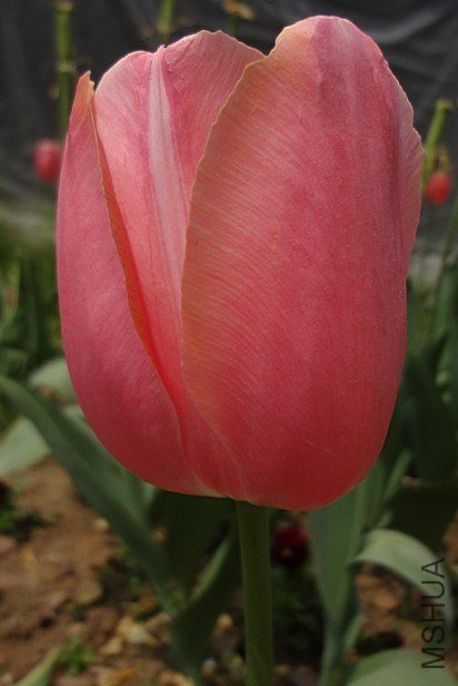 040509.jpg