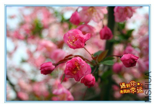 ��Ƭ 089_����.jpg