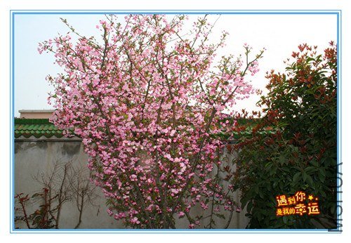 ��Ƭ 084_����.jpg