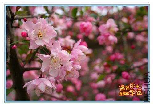 ��Ƭ 088_����.jpg