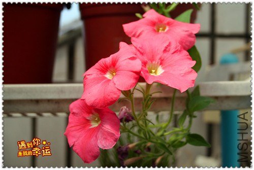 ��Ƭ 079_����.jpg