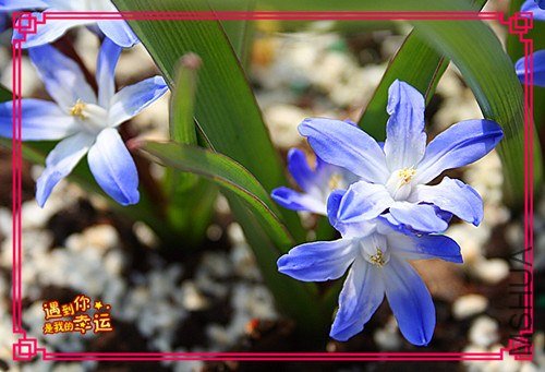 ��Ƭ 068_����.jpg