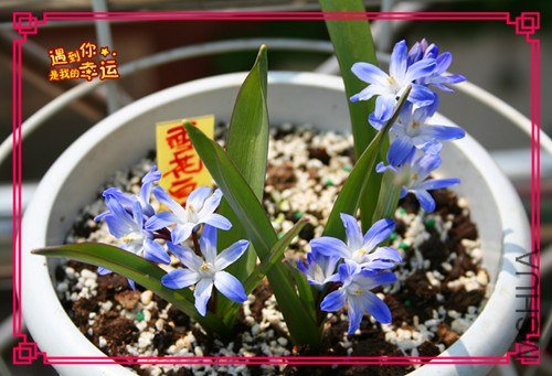 ��Ƭ 064_����.jpg