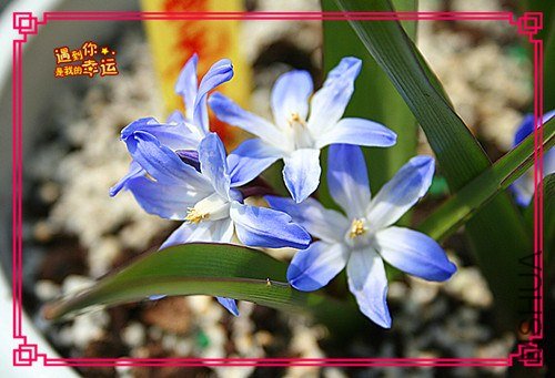 ��Ƭ 066_����.jpg