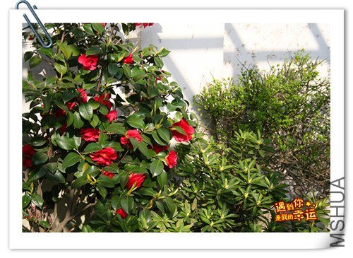 ��Ƭ 013_����.jpg